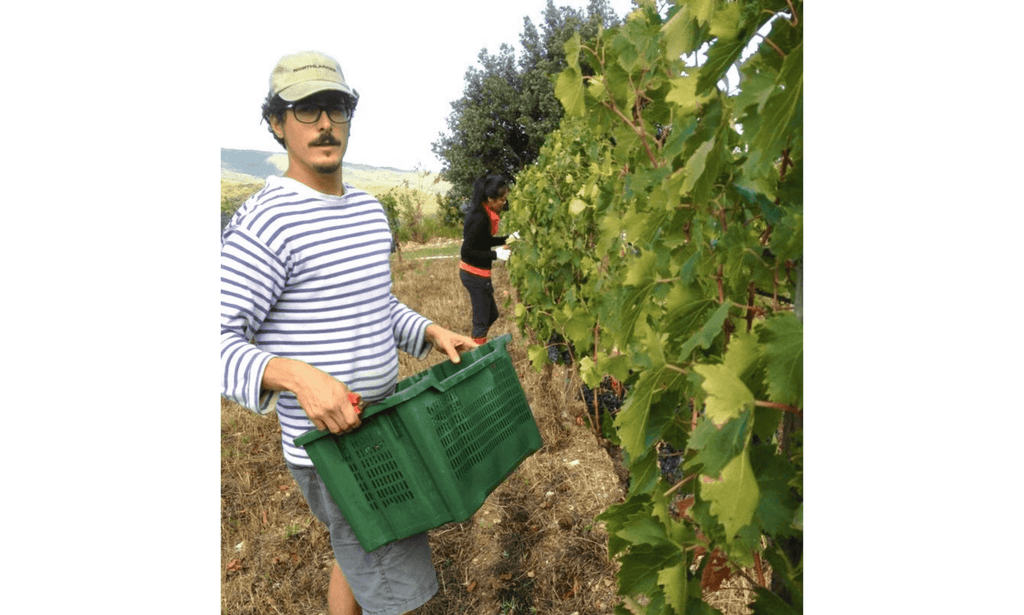 Casa Raia - Le vin dans les voiles