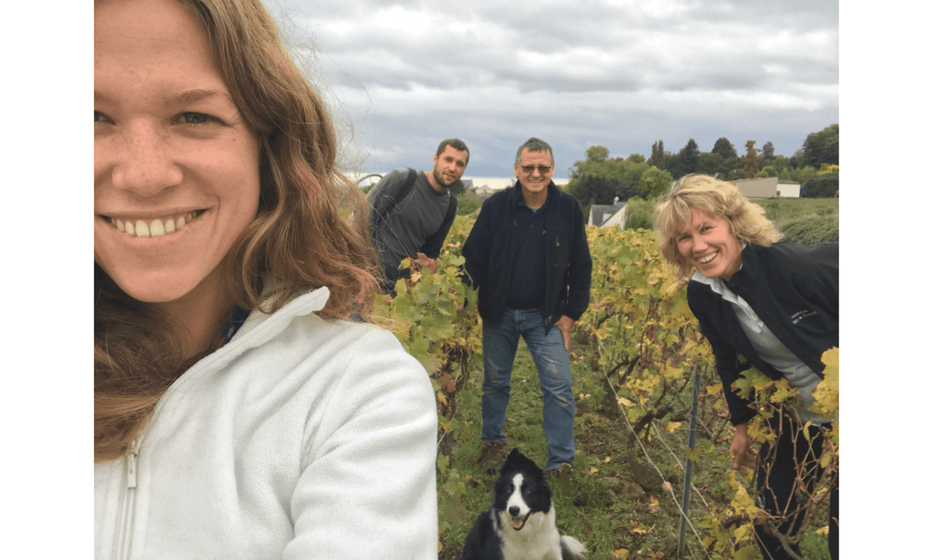 Champagne Lelarge-Pugeot - Le vin dans les voiles