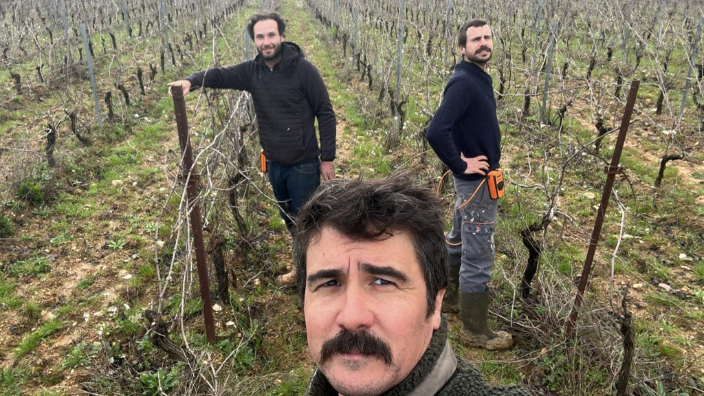 Domaine Déferlante - Le vin dans les voiles