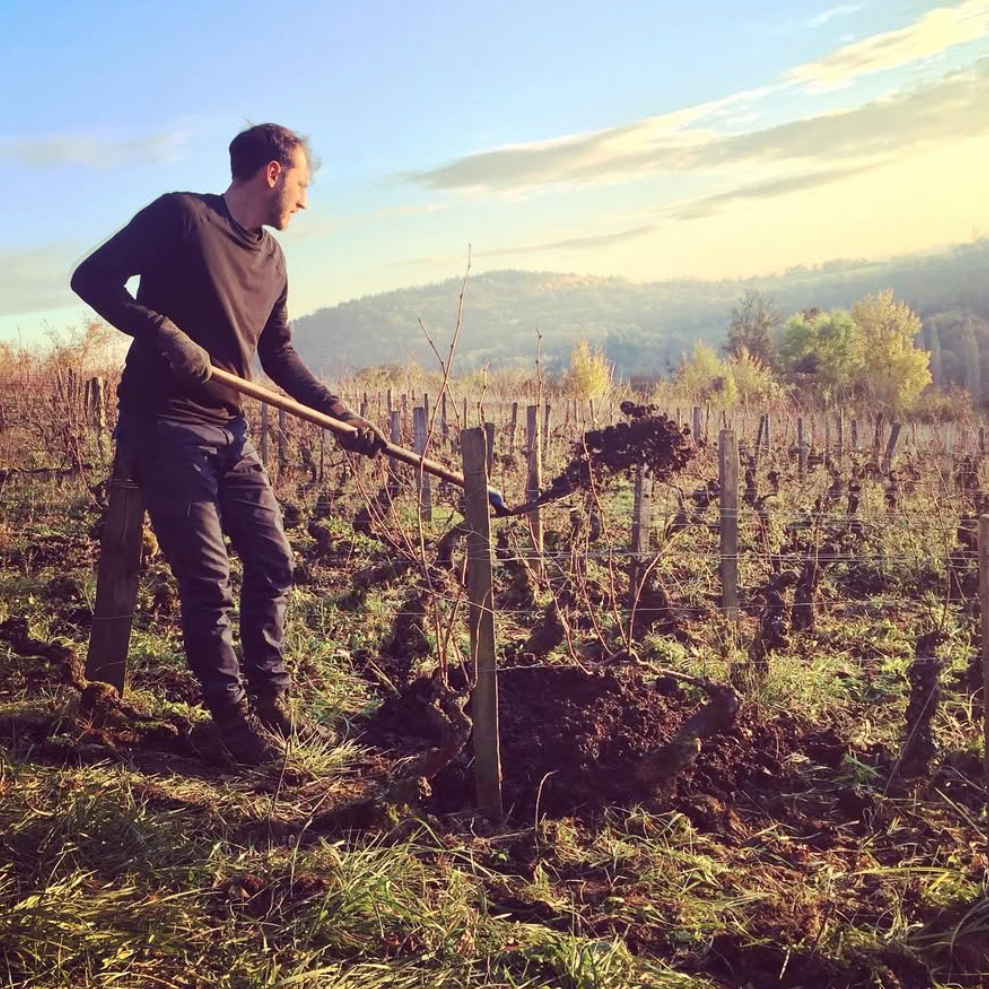 Domaine Dandelion - Le vin dans les voiles