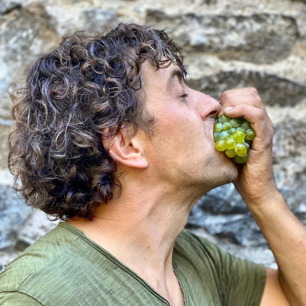 Domaine de Berguerolles - Le vin dans les voiles