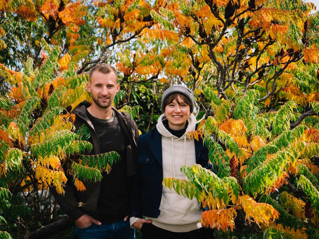 Rennersistas - Le vin dans les voiles