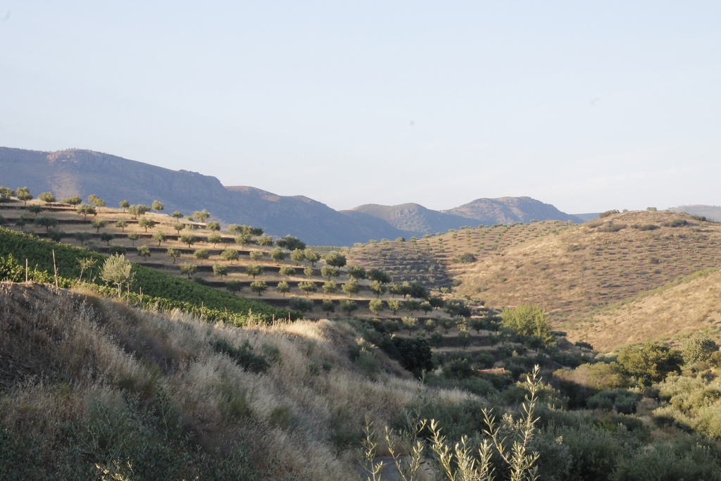 Vale de Pios - Le vin dans les voiles