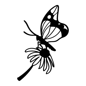 Vins de brunch - Le vin dans les voiles