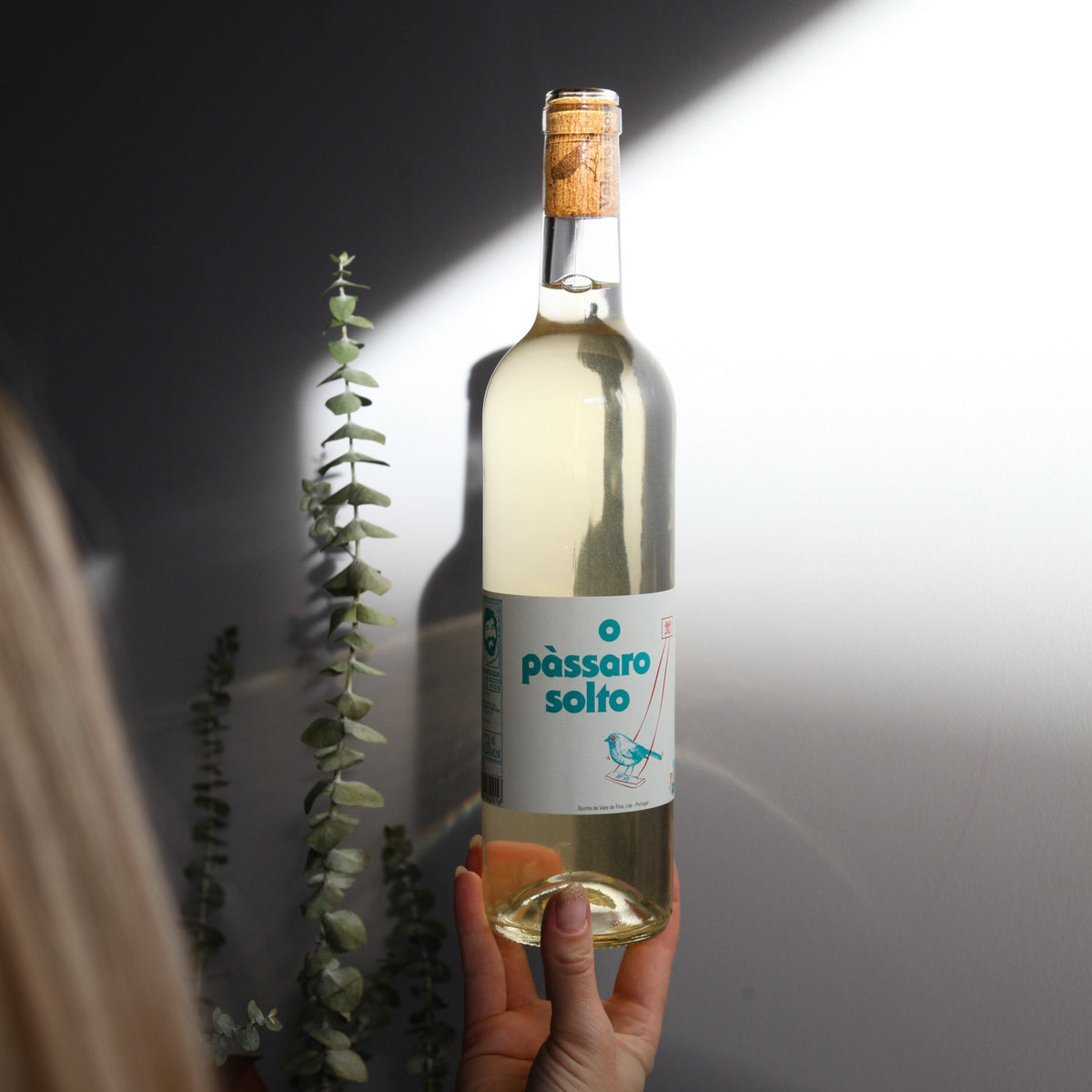 Bouteille de vin blanc biologique du domaine Vale de Pios au Portugal: O passaro solto branco.