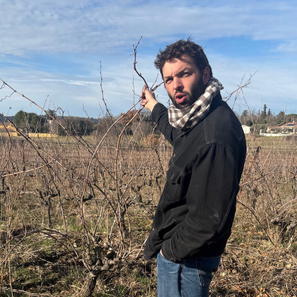 Carnet de vigne : Les Frères Soulier