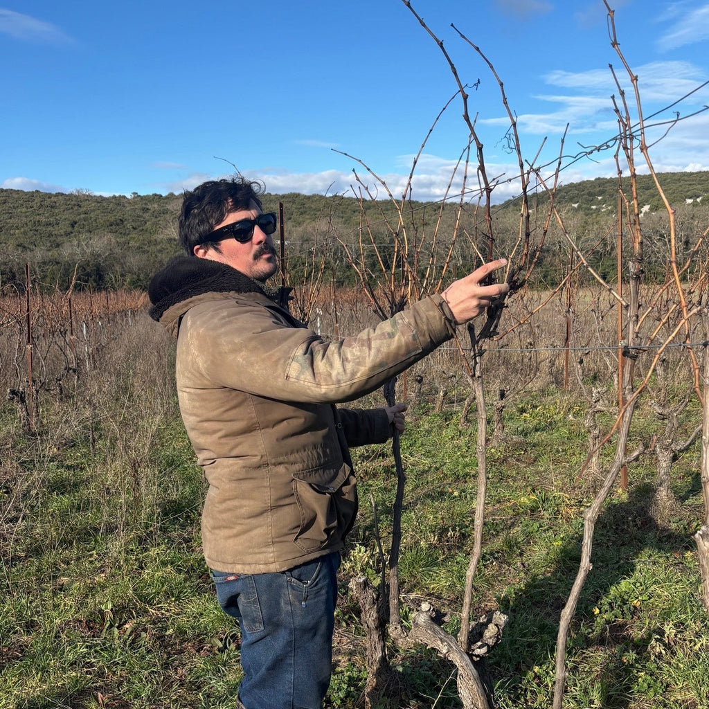 Carnet de vigne : Les vignes d'Olivier
