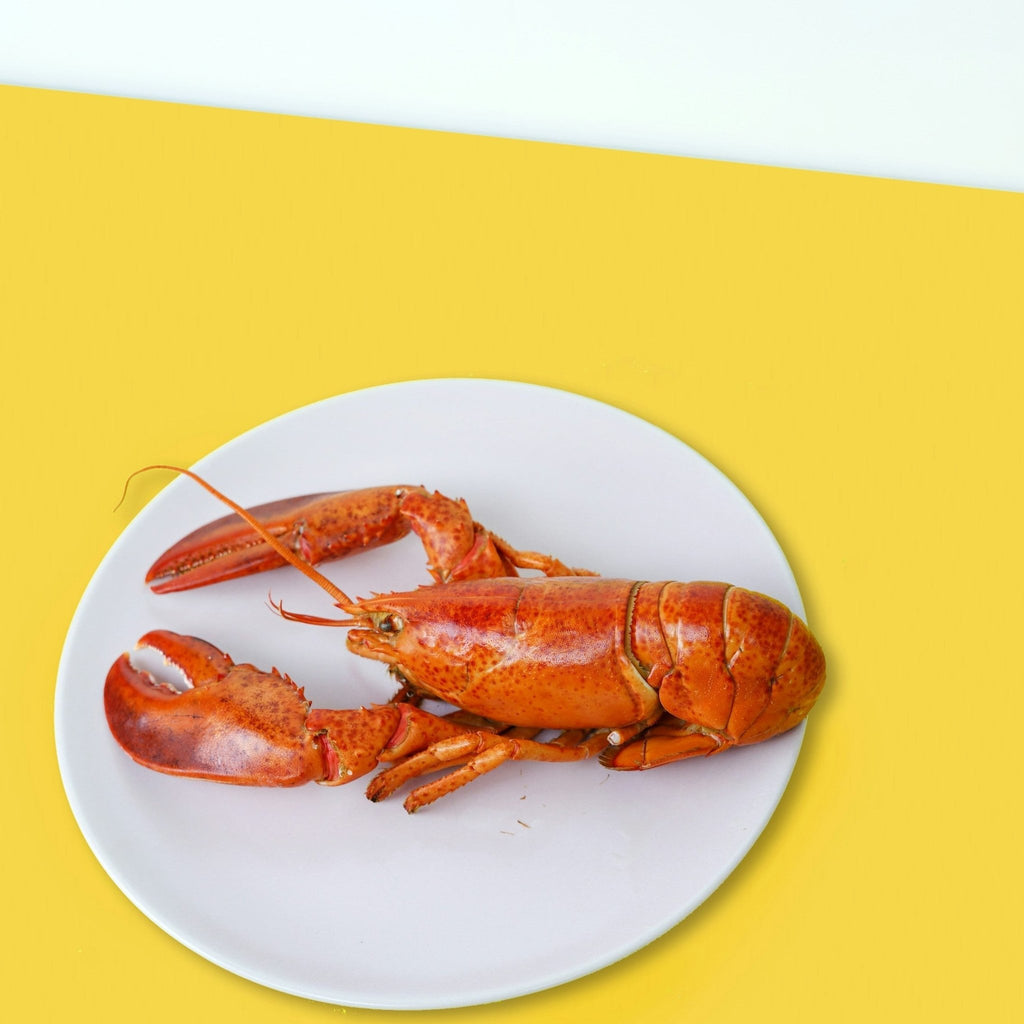 Snuggable Homard Petit guide pratique du homard – Le vin dans les voiles