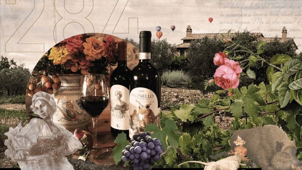 Casa Raia - Le vin dans les voiles