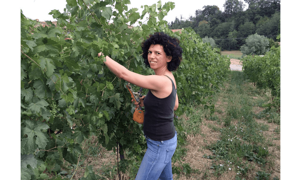 Elisabetta Montesissa - Le vin dans les voiles