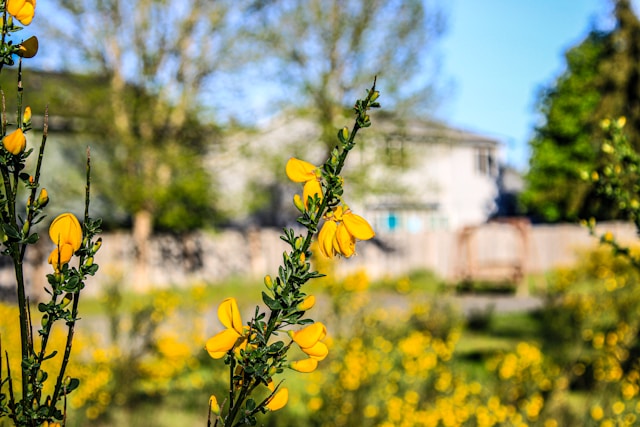 Arrivages pour mai 2026