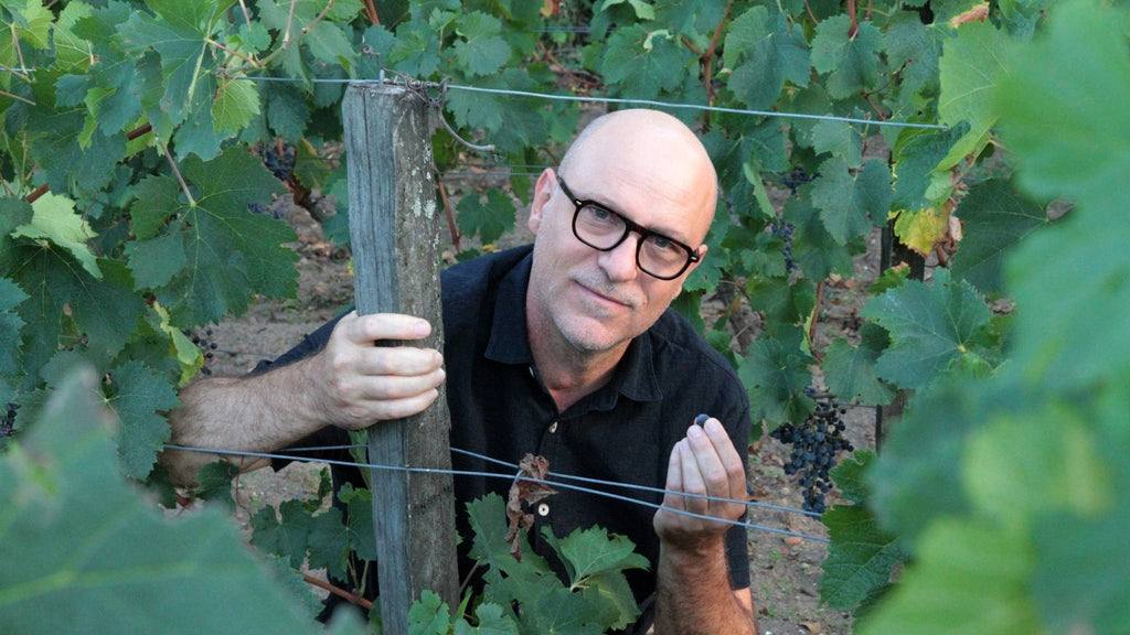 Christophe Pueyo - Le vin dans les voiles