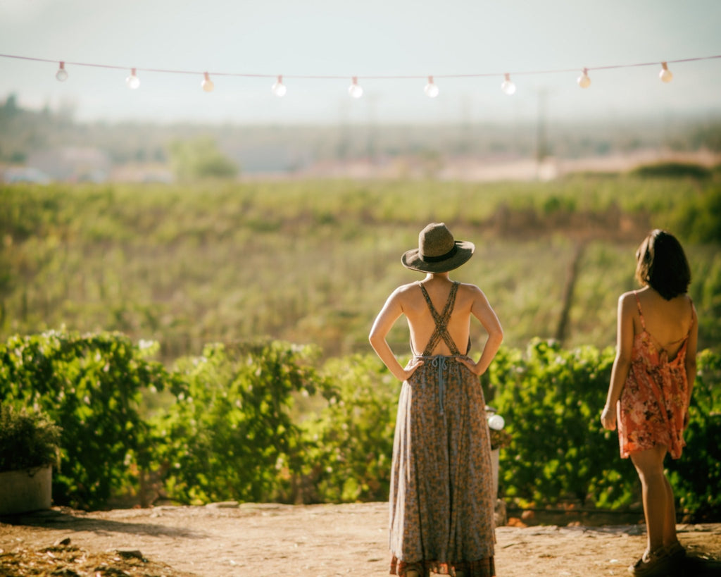 Vins de vigneronnes - Le vin dans les voiles