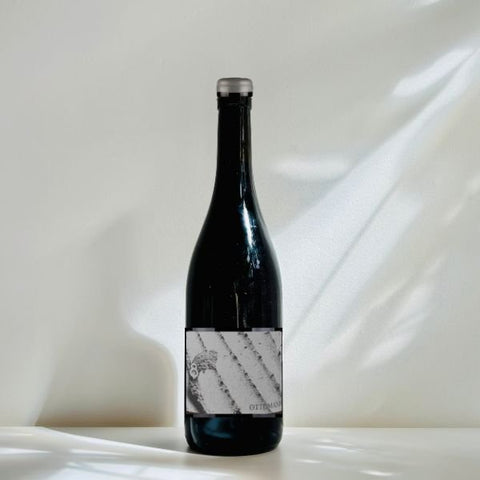Bouteille de vin orange biologique de la Toscane par Ottomani : Anfora Bianco. Un vin nature à partager, en importation privée au Québec. Parfait pour vos accords mets-vins grâce à la sélection de Le vin dans les voiles.