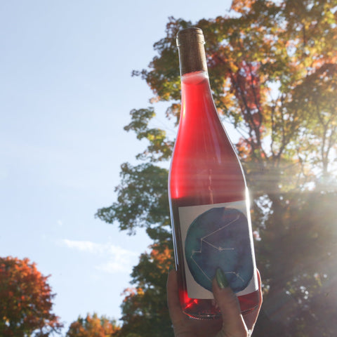 Aquarius red 2021 - Rouge - Jan - Philipp Bleeke - Le vin dans les voiles