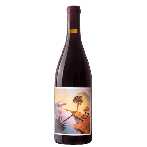 Back to the serine 2023 - Rouge - domaine de berguerolles - Le vin dans les voiles