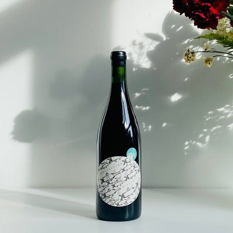 Bottlefish 2021 - Rouge - Rennersistas - Le vin dans les voiles