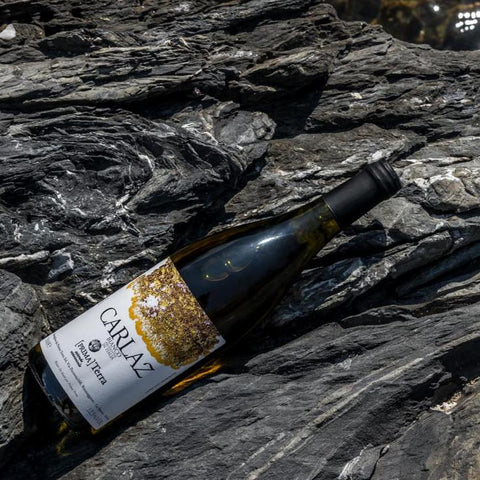 Bouteille de vin blanc des Cinque Terre en Italie par le vigneron Walter de Battè et le projet Prima Terra : Carlaz. Un vin nature à se procurer en importation privée au Québec. Parfait pour vos accords mets-vins grâce à la sélection de Le vin dans les voiles.