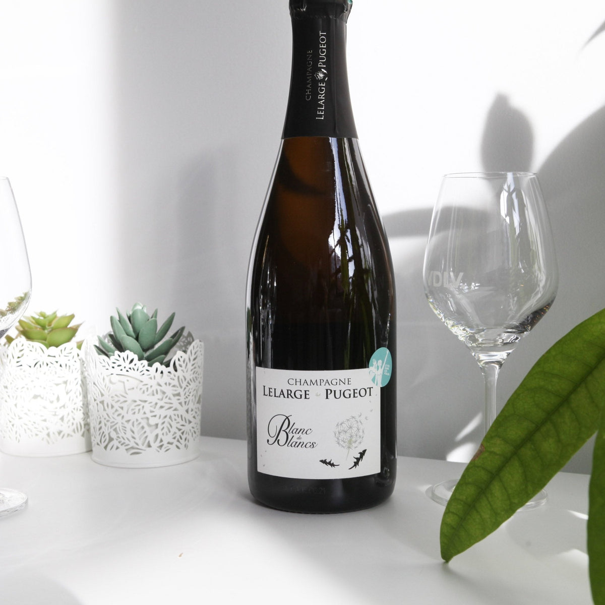 Bouteille de champagne 1er cru en biodynamie par la famille Lelarge-Pugeot à Vrigny : Blanc de blancs Champagne 1er Cru. Un vin nature à partager, en importation privée au Québec. Parfait pour vos accords mets-vins grâce à la sélection de Le vin dans les voiles. (image : 2 sur 2)