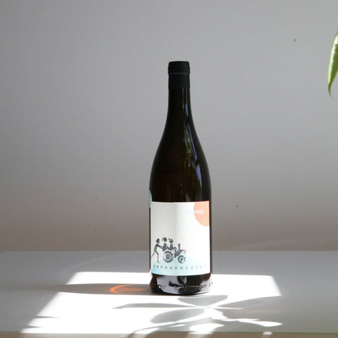 Chardonnay 2022 - Blanc - Rennersistas - Le vin dans les voiles