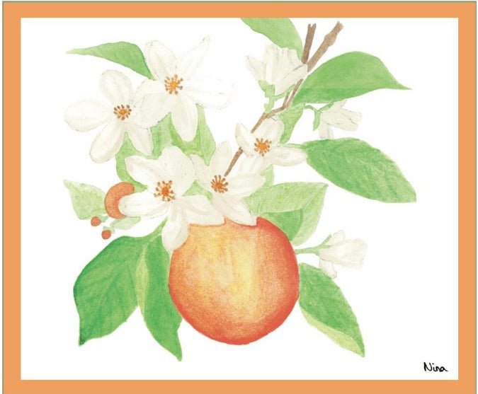 D'orange et de fleurs 2023 - Bulles - domaine de berguerolles - Le vin dans les voiles