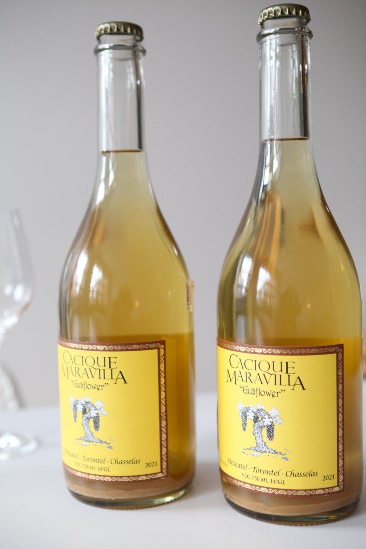 Gutiflower 2022 - Bulles - Cacique Maravilla - Le vin dans les voiles