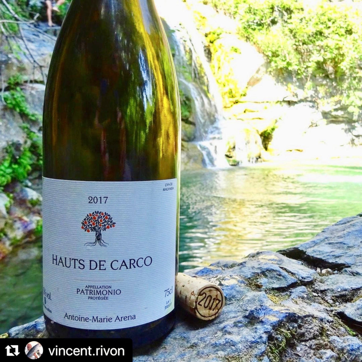 Bouteille de vin blanc biologique de la Corse à Patrimonio par Antoine-Marie Arena : Hauts de Carco. Un vin nature à partager, en importation privée au Québec. Parfait pour vos accords mets-vins grâce à la sélection de Le vin dans les voiles. (image : 2 sur 2)