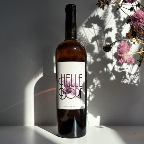 Hellebore 2019 - Orange - Vignobles Pueyo - Le vin dans les voiles