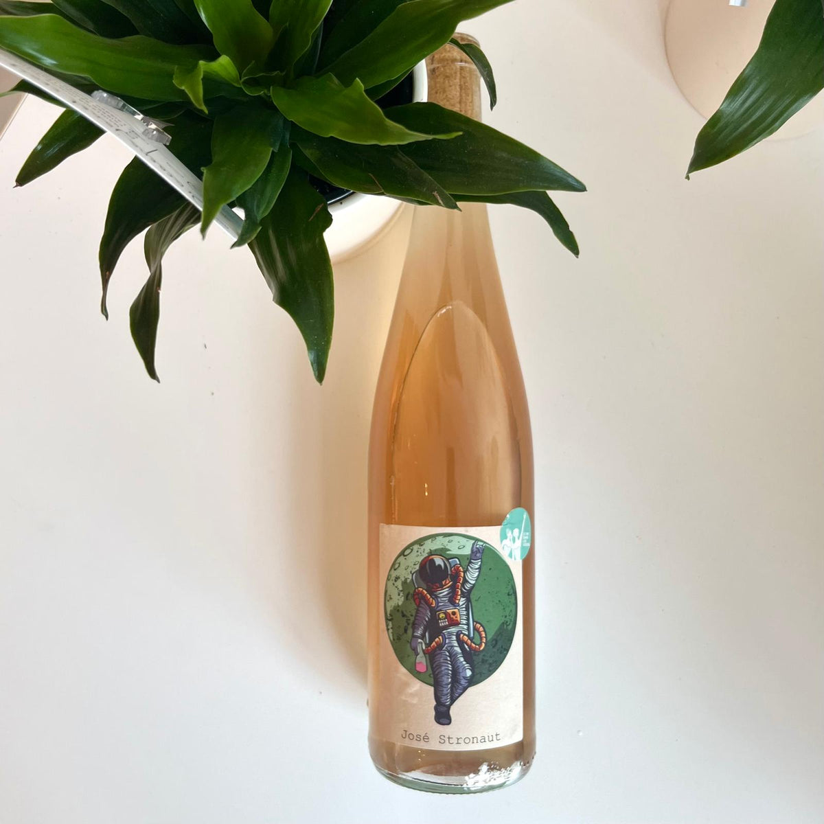 José Stronaut 2023 - Rosé - Jan - Philipp Bleeke - Le vin dans les voiles