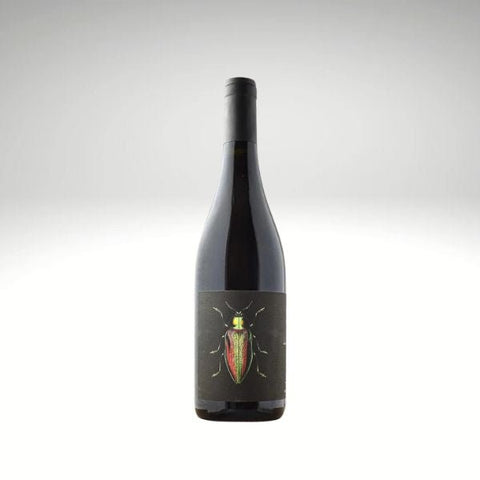 Bouteille de vin rouge biologique du Languedoc en Corbières du Domaine Ledogar : Les Brunelles. Un vin nature à partager, en importation privée au Québec. Parfait pour vos accords mets-vins grâce à la sélection de Le vin dans les voiles.