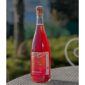 Moussamoussettes 2024