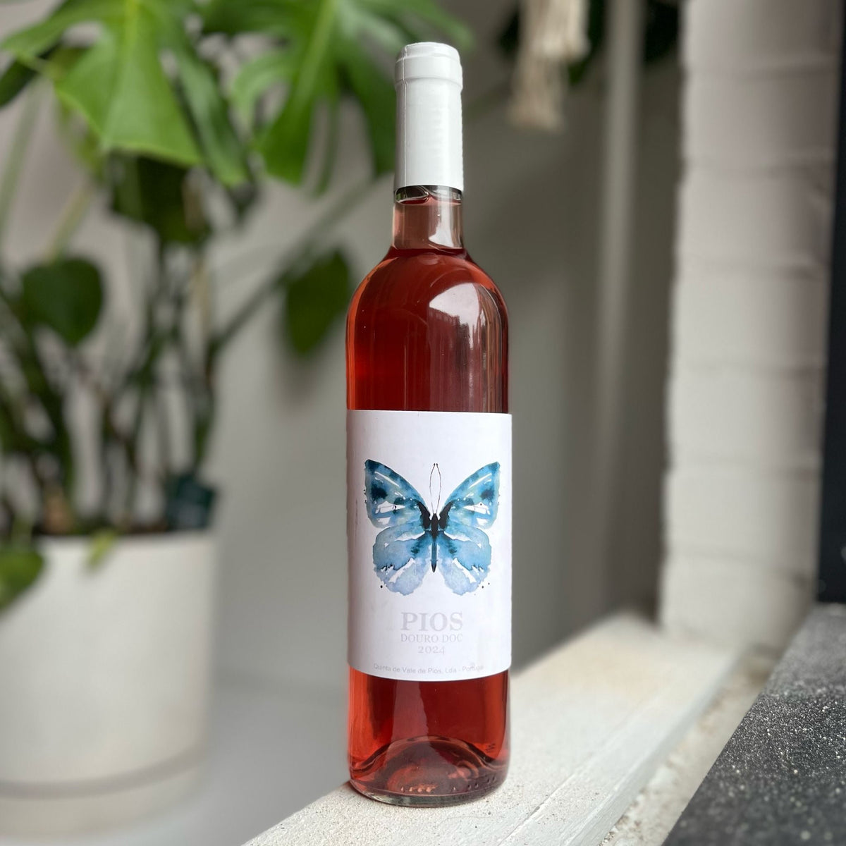 Bouteille de vin rosé naturel du Douro au Portugal par Quinta de Vale de Pios : Pios rosé. Un vin nature à partager, en importation privée au Québec. Parfait pour vos accords mets-vins grâce à la sélection de Le vin dans les voiles. (image : 2 sur 2)