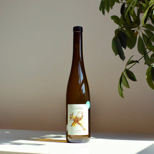 Riesling 2024