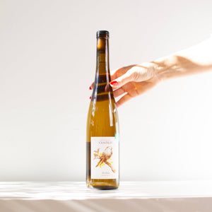Riesling 2024