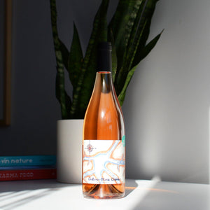 Rosé 2024