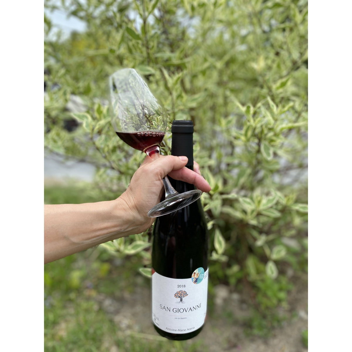 Bouteille de vin rouge biologique de la Corse à Patrimonio par Antoine-Marie Arena : San Giovanni Morescone. Un vin nature à partager, en importation privée au Québec. Parfait pour vos accords mets-vins grâce à la sélection de Le vin dans les voiles. (image : 2 sur 2)
