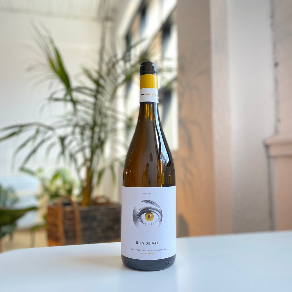 Ulls de Mel blanc 2022 - Blanc - Josep Masachs - Le vin dans les voiles