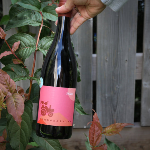 Bouteille de vin rouge en biodynamie du Burgenland en Autriche par Rennersistas : Zweigelt. Un vin nature à se procurer en importation privée au Québec. Parfait pour vos accords mets-vins grâce à la sélection de Le vin dans les voiles.
