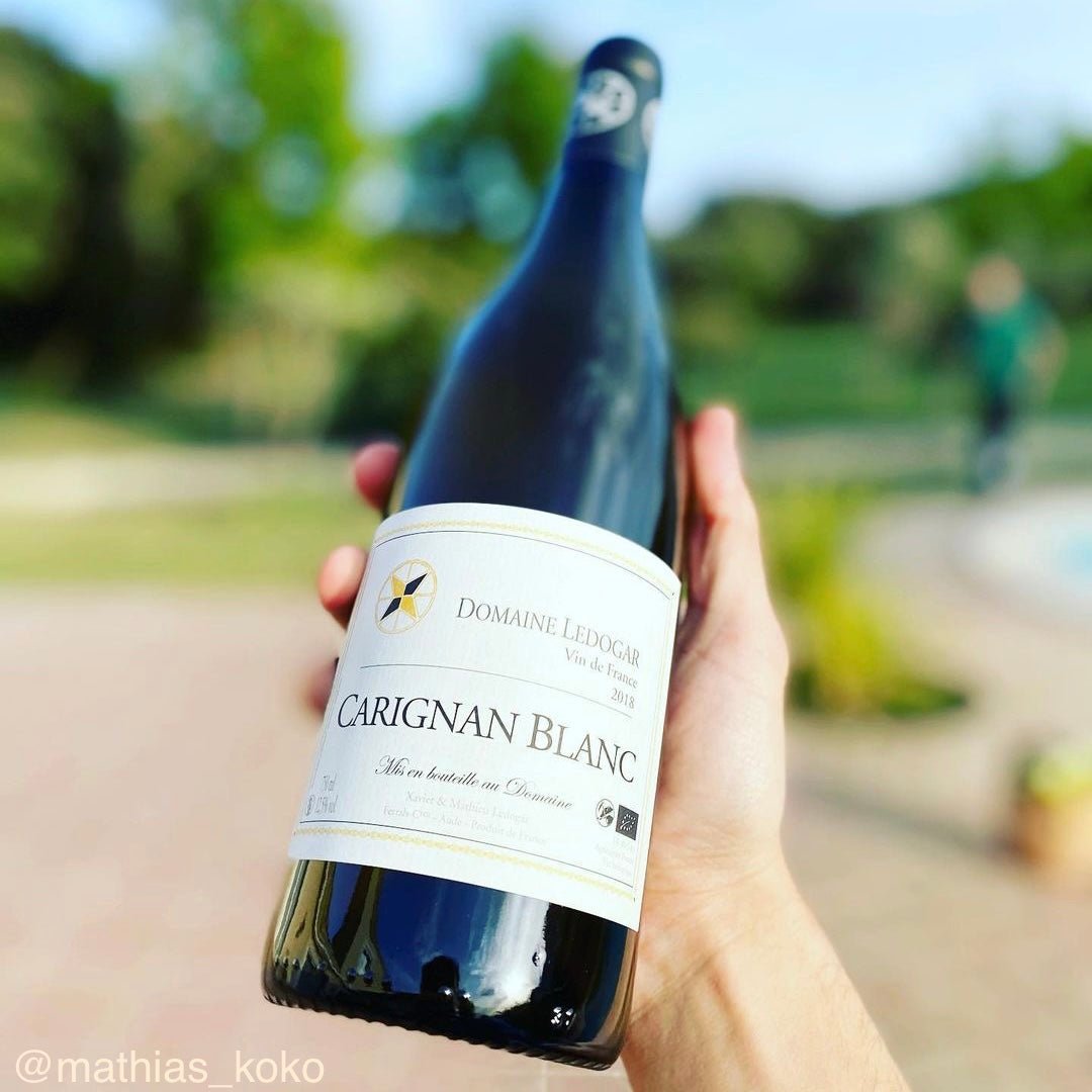 Carignan Blanc Ovoïde 2020 - Blanc - Domaine Ledogar - Le vin dans les voiles