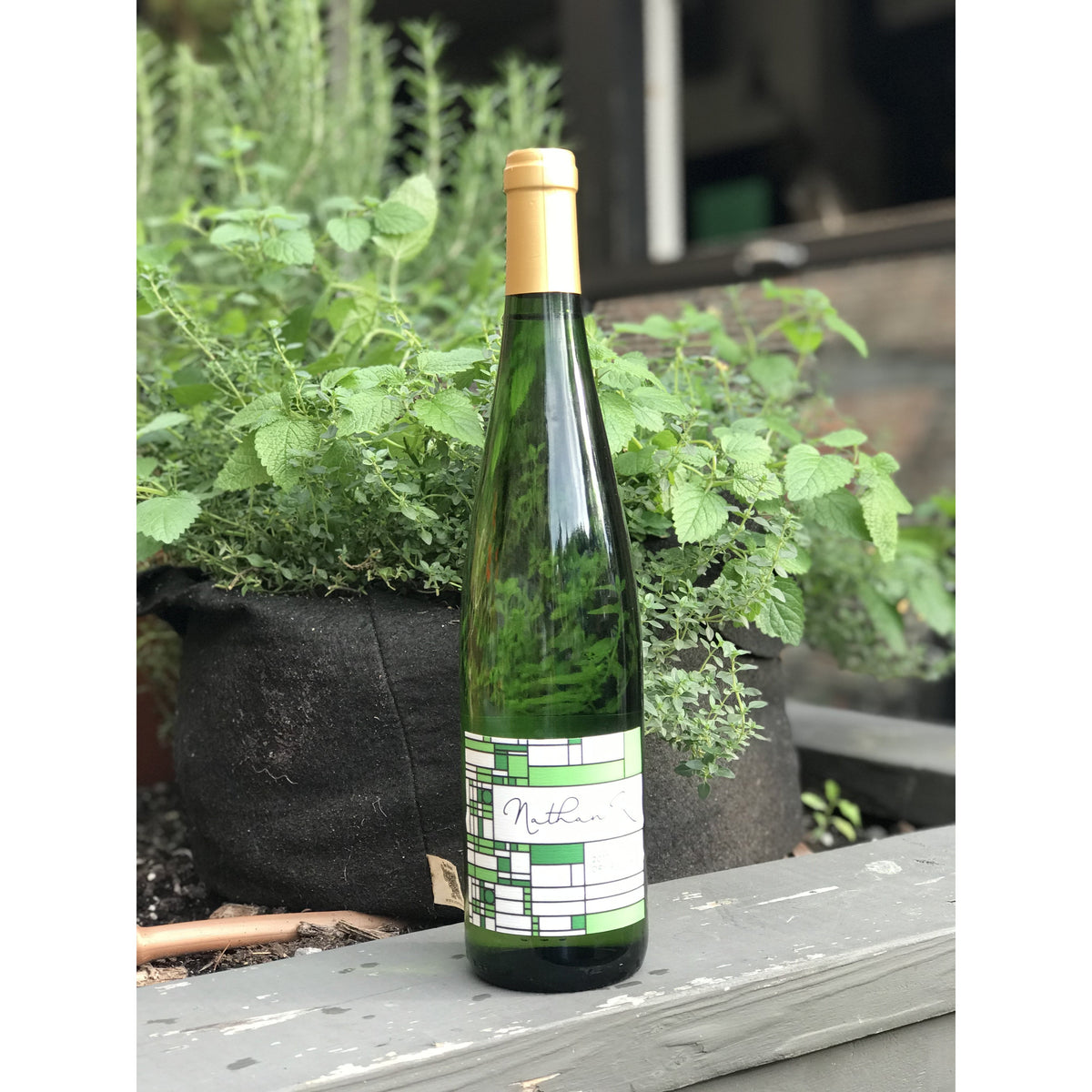 Dry Riesling 2019 - Blanc - Nathan Kendall - Le vin dans les voiles
