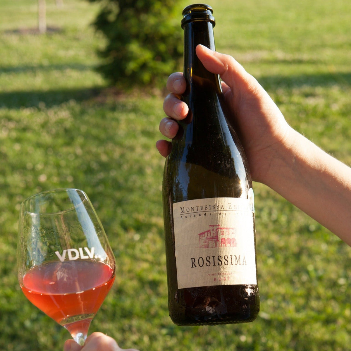 Rosissima 2021 - Bulles - Domaine Montesissa Emilio - Le vin dans les voiles