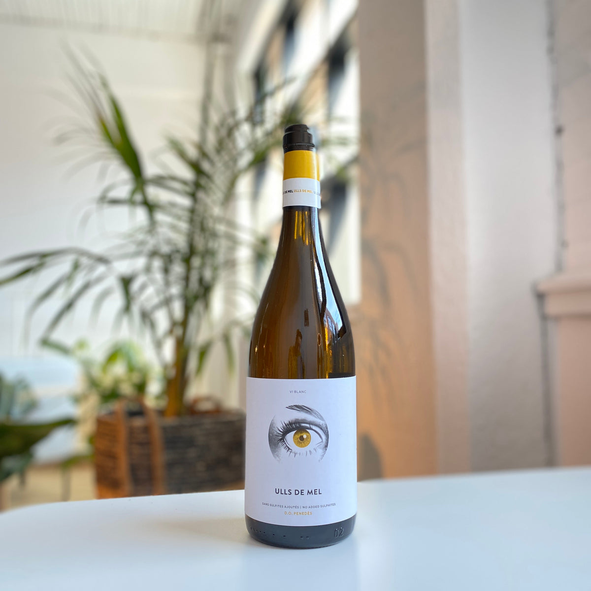 Bouteille de vin nature, vin blanc de la Catalogne du Domaine Josep Masachs : Ulls de mel.