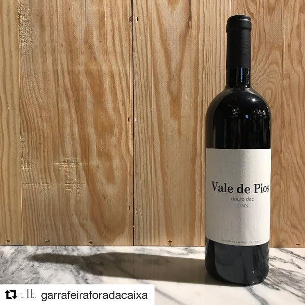 Bouteille de vin rouge biologique du domaine Vale de Pios au Portugal: Vale de Pios, doc douro. (Image: 2 sur 2).